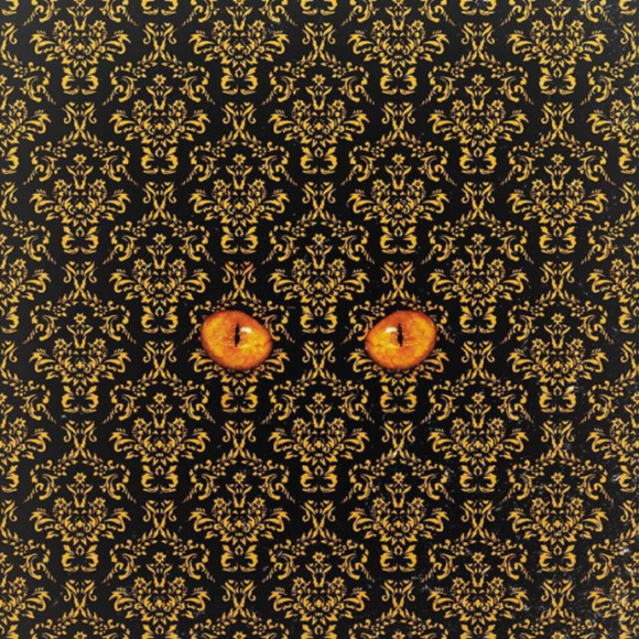 Meet your Posher, Camille - Picture 1 of 1